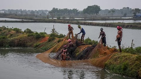 The Bill was also intended at reinstating the health of the lake’s ecosystem. Although the matter was also taken up in the Assembly a few times