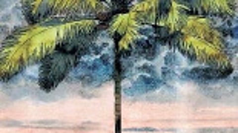 Idea came from imagery of coconut trees being burned down: Joshy Benedict