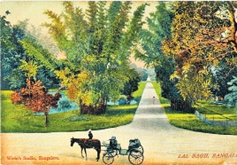 Magnifying Bengaluru’s past