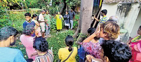 Foraging and feasting