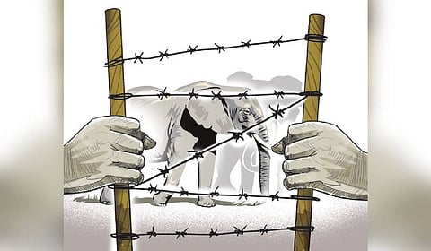 Human-animal conflict