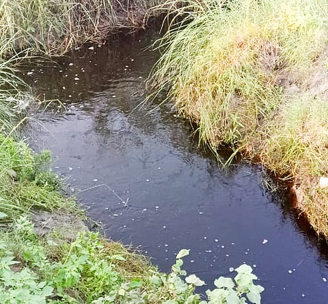 Image used for representational purposes only