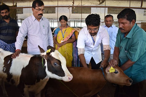 Representative Image