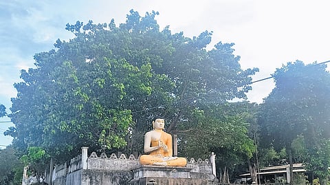 The Buddhist shrine