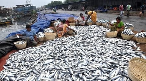 Image of fish sellers used for representative purpose.