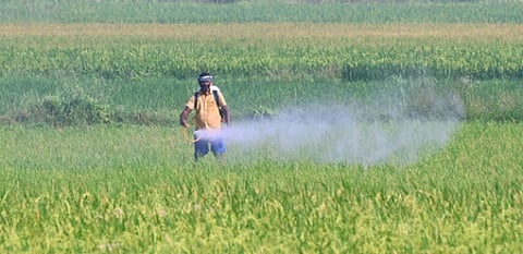 Image used for representational purposes