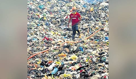 Waste used for landfilling in the site contracted for biomining.