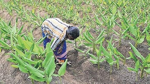 Image used for representative purpose.