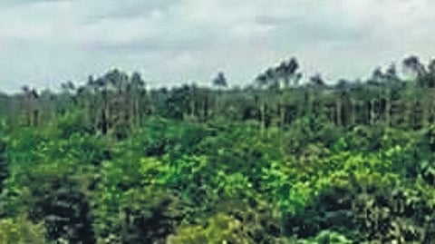 Image used for representational purposes only