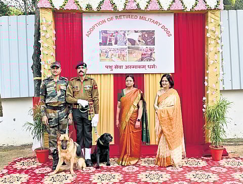 Retired military dogs to spread joy for special kids