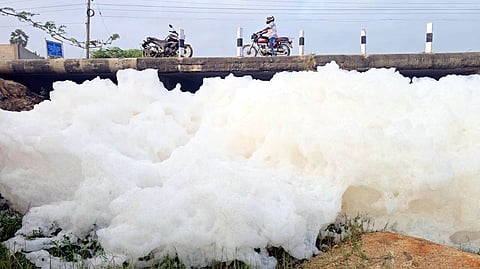 Palar River at Maratpattu frothed up on Sunday