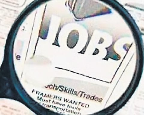 Fresher hirings see rise: Job applications surge 27% to 2 crore in 2024