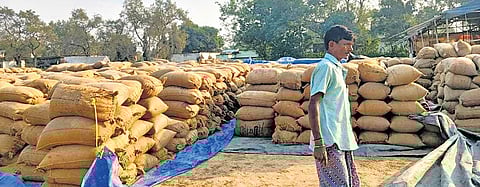 Paddy bags lying in the open at Panimira mandi in Sohela