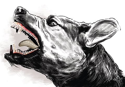 Image used for representational purposes only