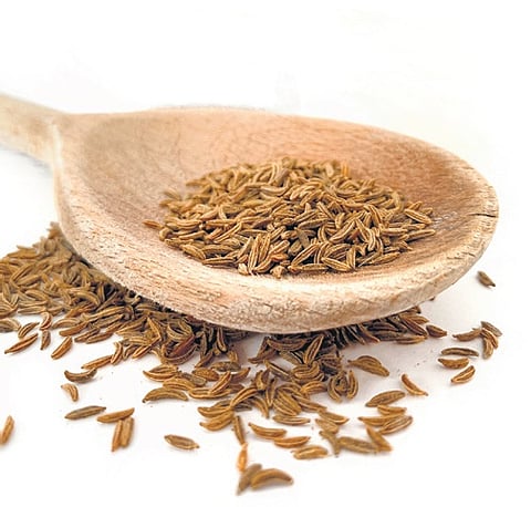 Shahi jeera: Indian spice that can help suppress appetite and support weight loss