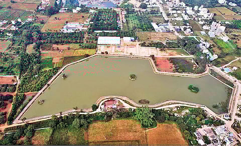 An aerial view of rejuvenated Yerappanahalli Lake in North Bengaluru