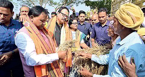 CM Mohan Majhi examines damaged paddy of a farmer, in Nayagarh on Sunday