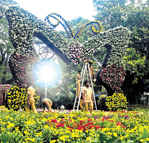 Workers set up a butterfly flower structure at the Semmozhi Poonga on Wednesday