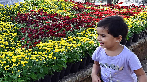 A child enjoying the annual flower show Vasantholsavam organised by the Tourism Department at Kanakakunnu in Thiruvananthapuram. The flower show will conclude today.
