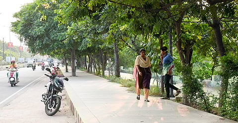 The popular walkers' track at Anna Nagar in Tiruchy