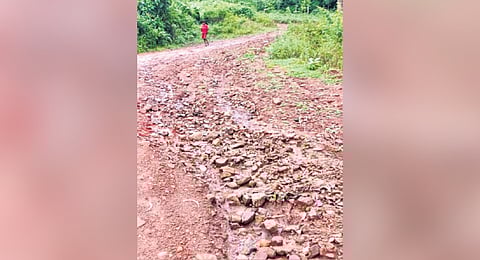 Condition of the road leading to Jajulabandha village in ASR district