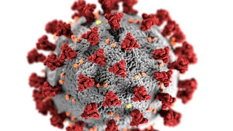 Health Ministry monitoring respiratory, seasonal influenza cases amid HMPV outbreak in China, say Officials sources