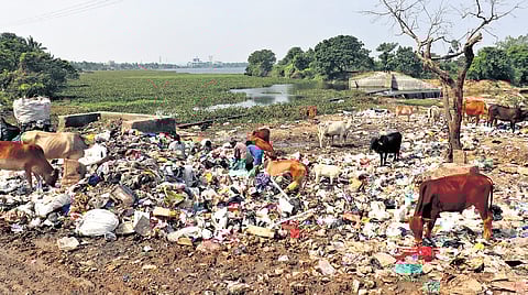 Image used for representative purpose.