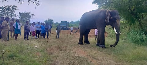 Forest officials believe the deployment will help reduce human casualties and restore a sense of safety in conflict-hit regions.