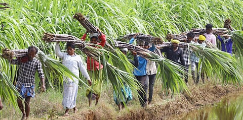 Strike called off, ration shops to resume operations today