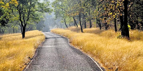 Learning on the road