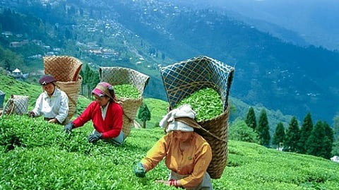 Representative Image.