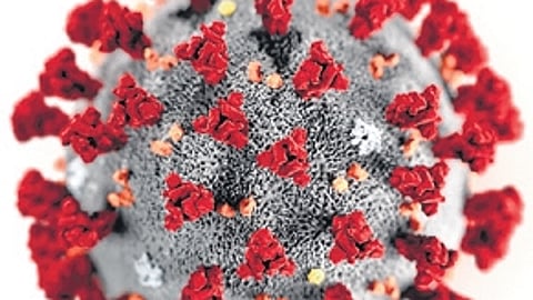 HMPV not a new virus, maintain hygiene: Experts