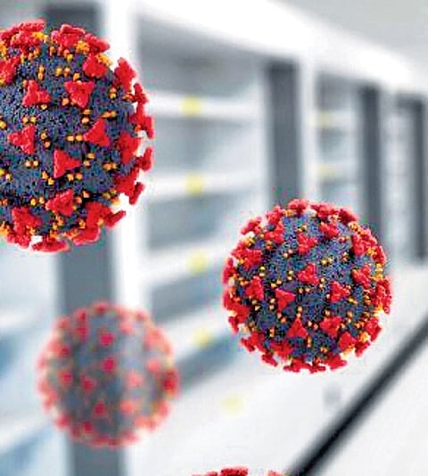 Doctors dispel misconceptions about HMPV