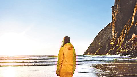 'The Homecoming' book review: Compelling tale of a conflicted mother, wife and lover