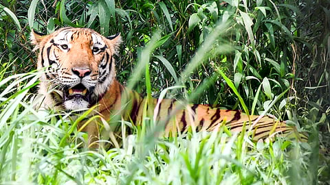 Image used for representational purposes only.