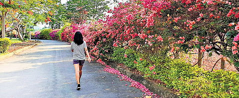 Colour-coding at each step