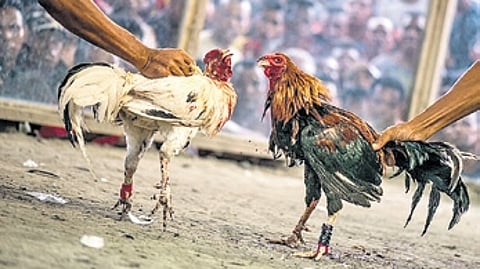 Image used for representational purposes only