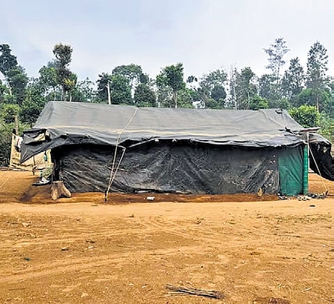 A tribal hamlet inside a forest in South Kodagu