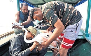 Two Flamingos were tagged with satellite rings by the officials of the Chilika Wildlife Division