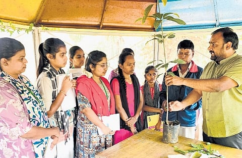 Horticulture students attend a session at the nursery in ITDA, Utnoor