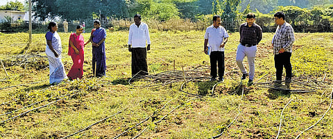 With the initiative ideas of the Integrated Tribal Development Agency officials, in the remote and deep corners of the Nallamala forest, where the Chenchu tribe has traditionally lived in isolation, a remarkable transformation is taking place.
