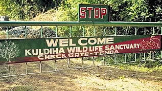 Kuldiha Wildlife Sanctuary