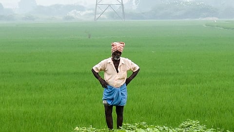 Image used for representative purpose.