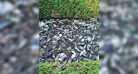 A garbage-filled drain near Kaloor
JLN Stadium.