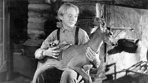 Claude Jarman Jr in 'The Yearling'