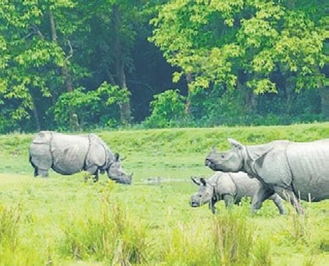 Representational image