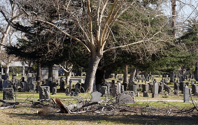 Downed branches lie near graves at Mountain View Cemetery after the Eaton fire, Tuesday, Jan 14, 2025, in Altadena, Calif.