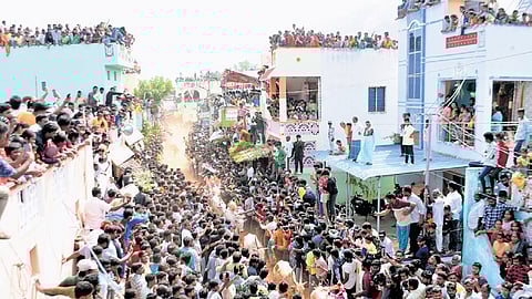 Thousands witnessed Pasuvula Panduga organised in Chittoor district on the occasion of Kanuma