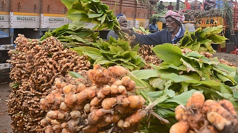 Representative image of vendors selling Turmeric plants ahead of the Pongal festival at Koyambedu market.