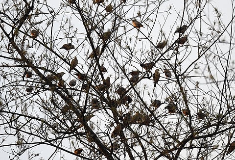 Image used for representational purposes.